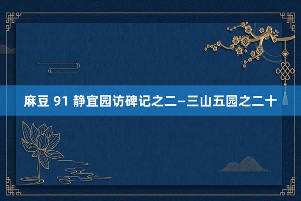 麻豆 91 静宜园访碑记之二—三山五园之二十