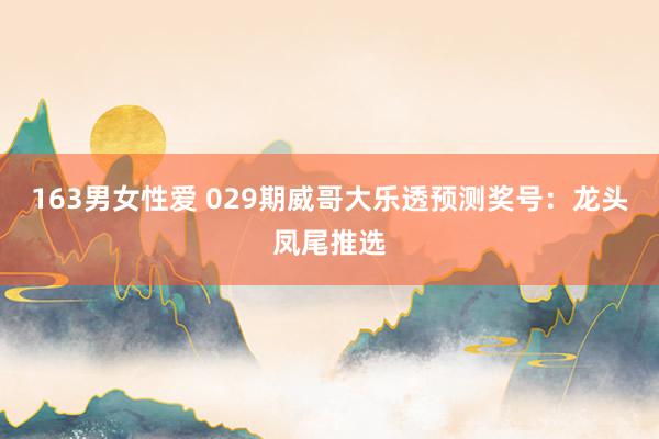163男女性爱 029期威哥大乐透预测奖号：龙头凤尾推选